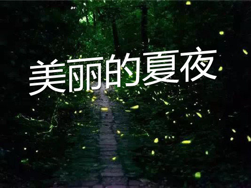 《美丽的夏夜》PPT课件