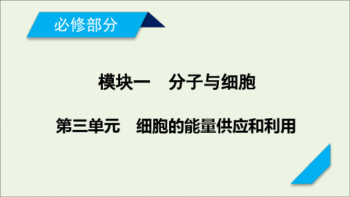 新高考2021高考生物一轮复习第3单元细胞的能量供应和利用第3讲能量之源_光与光合作用课末总结课件新人教版