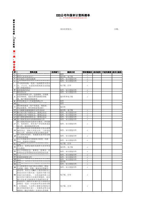 XXX公司年报审计资料清单