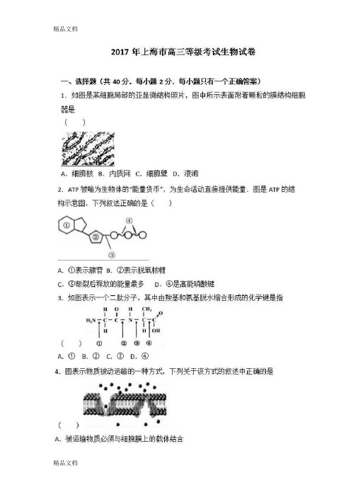 最新上海生物等级考试试卷---附答案