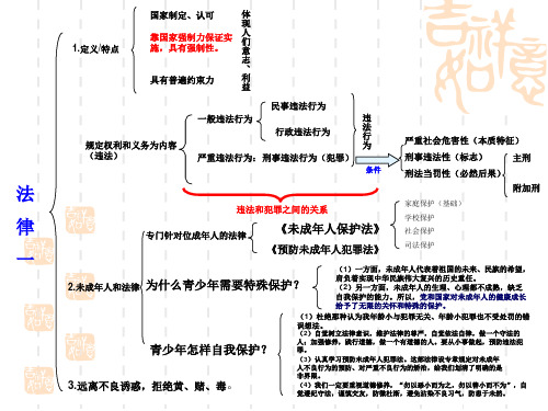 中考政治法律专题复习课件【精选】