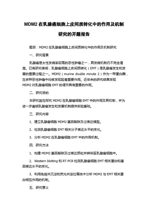 MDM2在乳腺癌细胞上皮间质转化中的作用及机制研究的开题报告