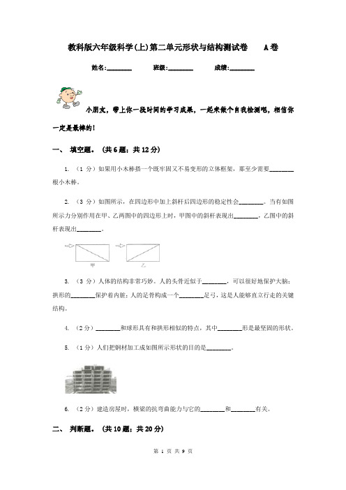 教科版六年级科学(上)第二单元形状与结构测试卷    A卷