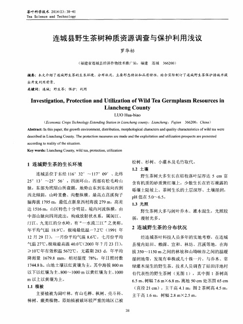 连城县野生茶树种质资源调查与保护利用浅议