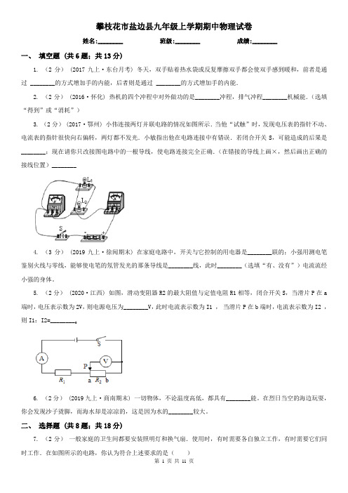 攀枝花市盐边县九年级上学期期中物理试卷