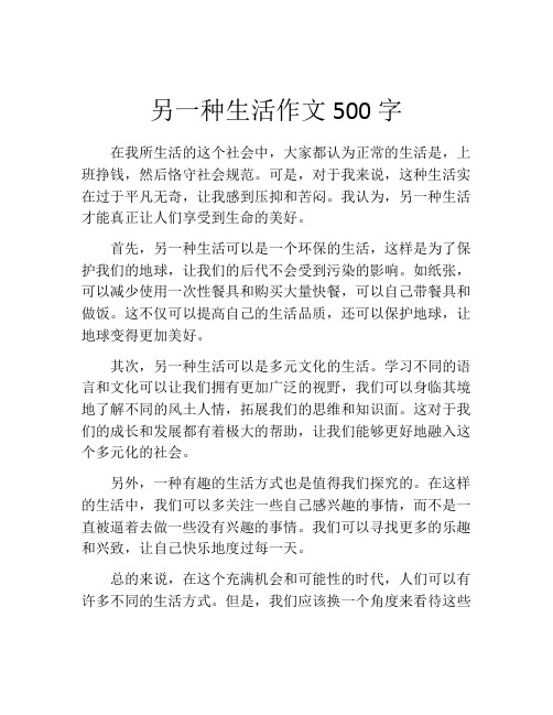 另一种生活作文500字