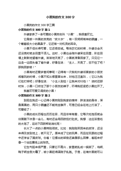 小黑狗的作文300字三篇