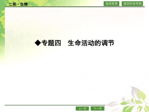 2016届高考生物二轮专题配套ppt课件:4.9人和动物生命活动的调节