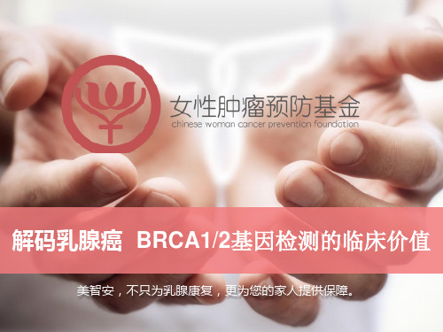 BRCA基因检测 精简版