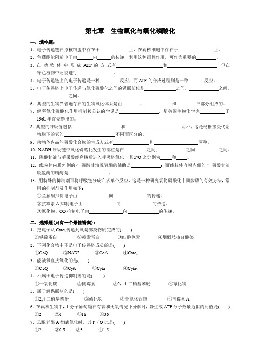 第七章 生物氧化与氧化磷酸化