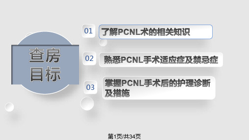 PCNL经皮肾镜术后护理PPT课件