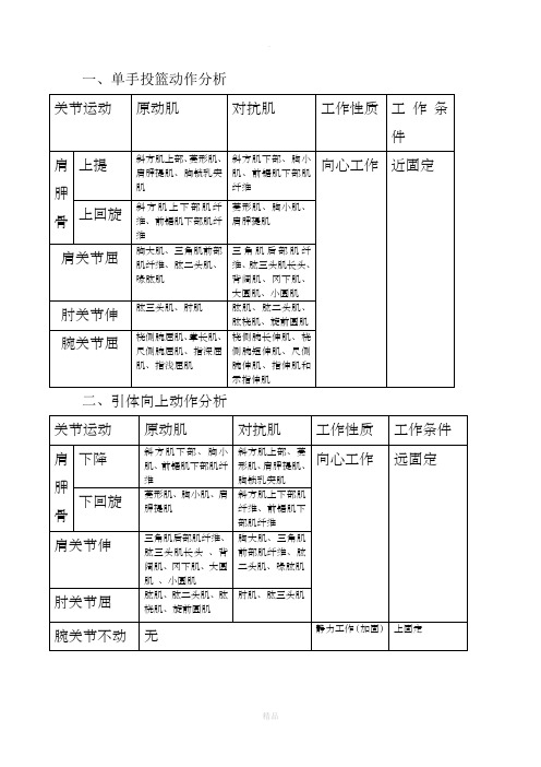 运动解剖学动作分析