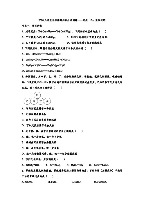 2020九年级化学基础知识分类训练——专题十二：盐和化肥