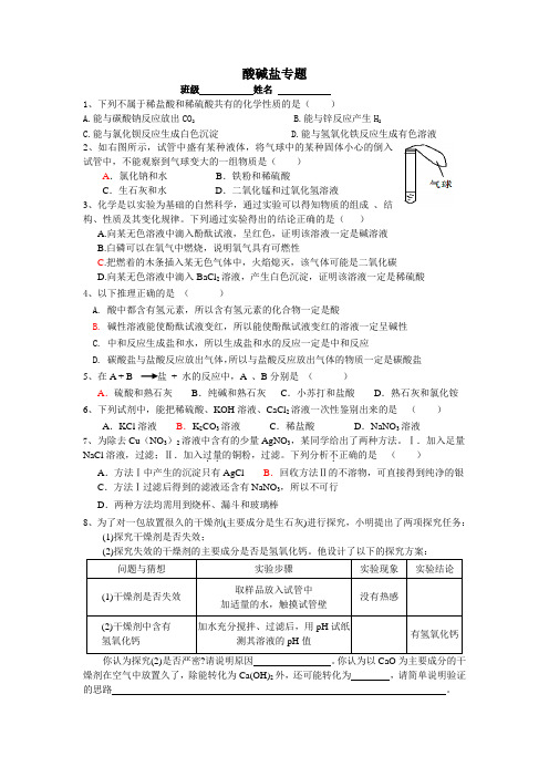 九年级化学酸碱盐专题练习