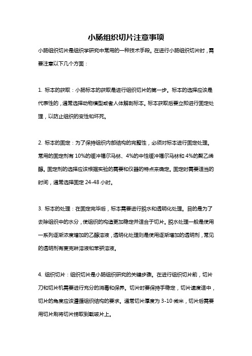 小肠组织切片注意事项