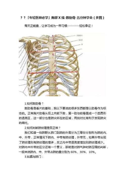 ？？「年轻医师必学」胸部X线-数肋骨-五分钟学会（多图）