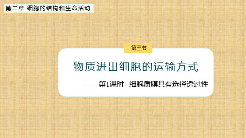 【课件】细胞质膜具有选择透过性课件高一上学期生物苏教版(2019)必修1