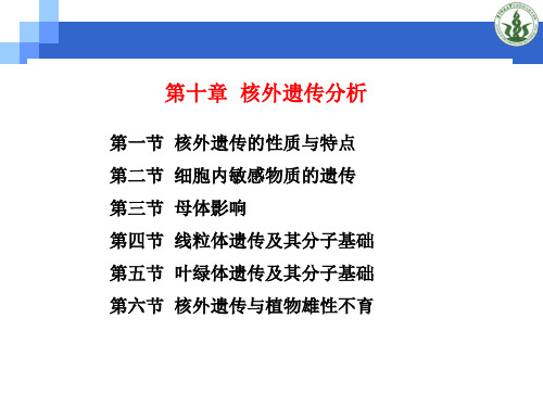 遗传学第十章核外遗传分析解析