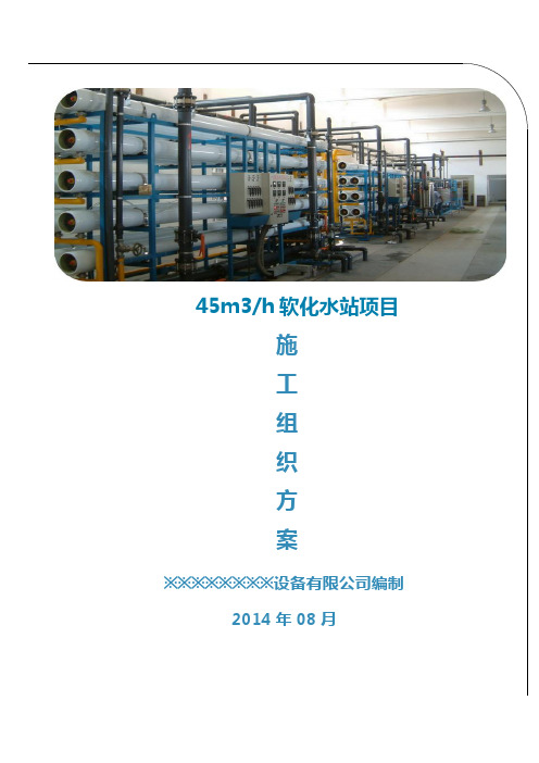 水处理项目施工组织方案