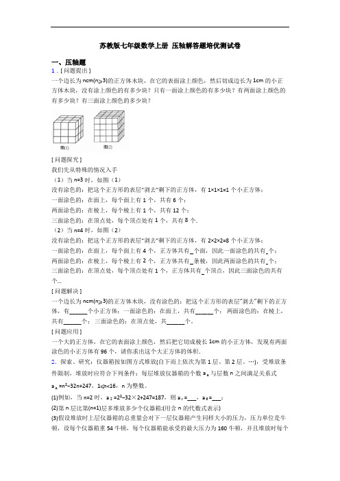 苏教版七年级数学上册 压轴解答题培优测试卷