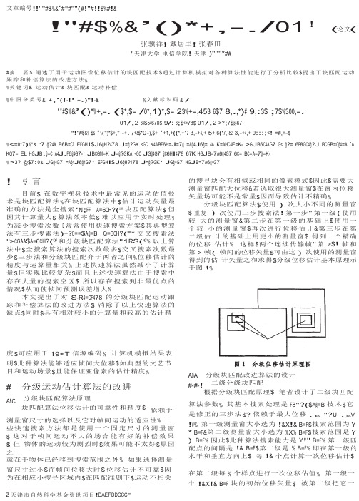 数字视频处理中的块匹配运动估计技术