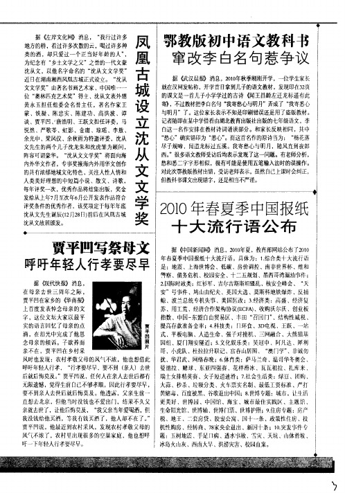 2010年春夏季中国报纸十大流行语公布