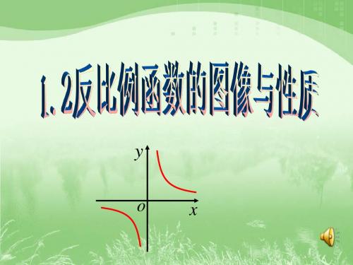 湘教版九年级数学下册第一章第二节反比例函数的图像与性质