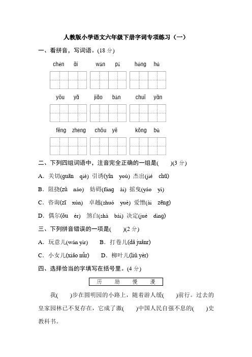 人教部编版六年级6年级语文下册期中期末资料专项复习专项训练专项复习专项训练字词一