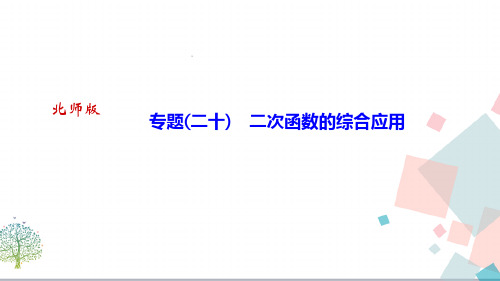 【优质】初三九年数学：《专题二十)二次函数的综合应用》ppt课件