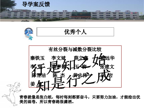 二倍体生物有丝分裂与减数分裂细胞图像辨析及应用解读