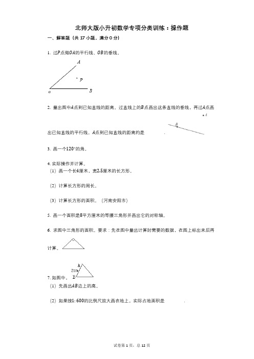 小学数学-有答案-北师大版小升初数学专项分类训练：操作题