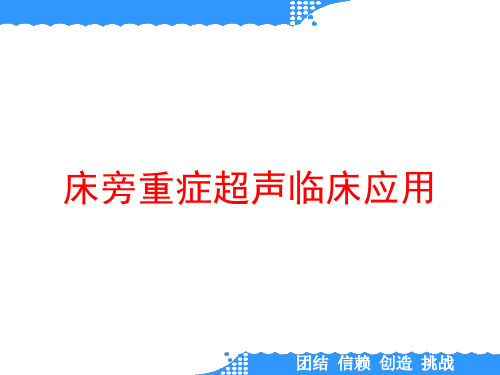 床旁重症超声临床应用