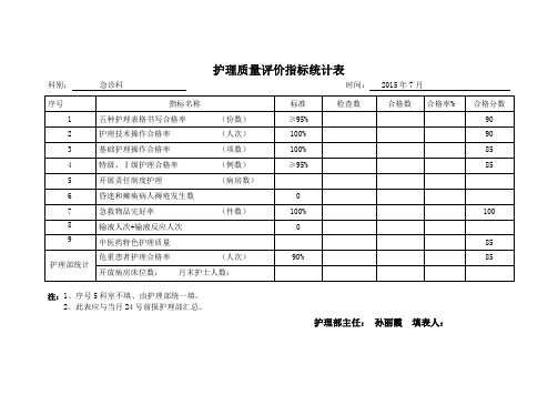 护理质量评价指标统计表