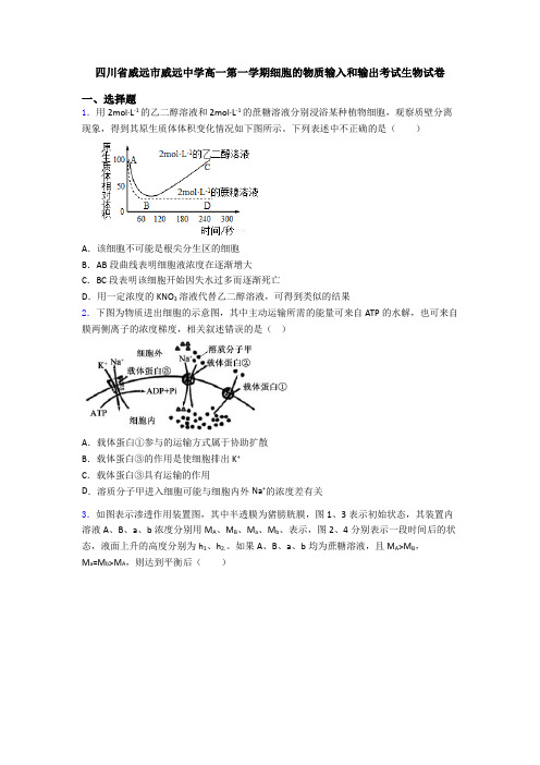 四川省威远市威远中学高一第一学期细胞的物质输入和输出考试生物试卷