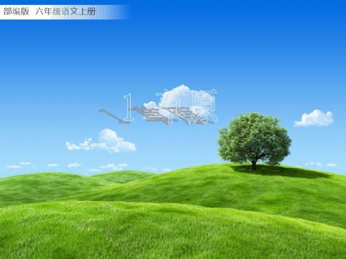 部编版语文六年级上册第1课 《草原》(19张ppt)2.pptx