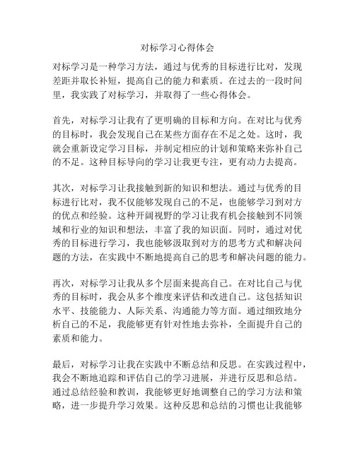 对标学习心得体会