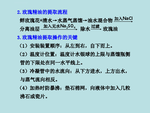 植物有效成分的提取PPT课件