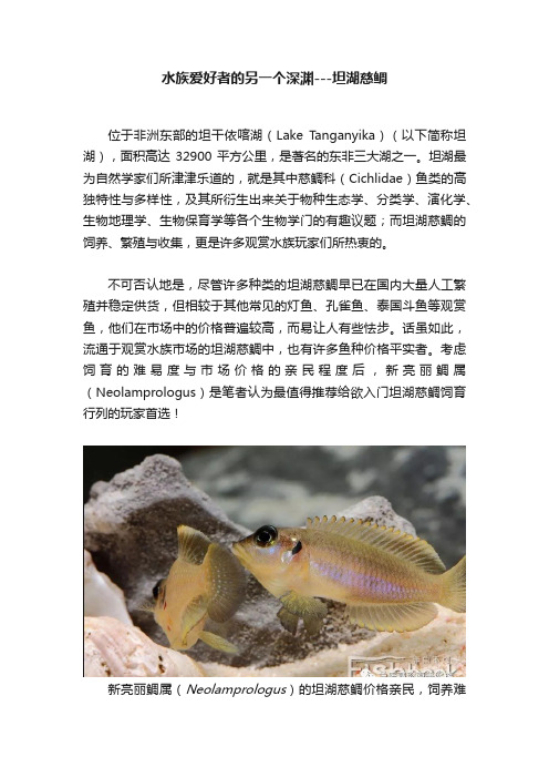 水族爱好者的另一个深渊---坦湖慈鲷