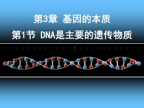 【人教版】2019年高考生物一轮专题复习课件：DNA是主要的遗传物质 (共29张PPT)