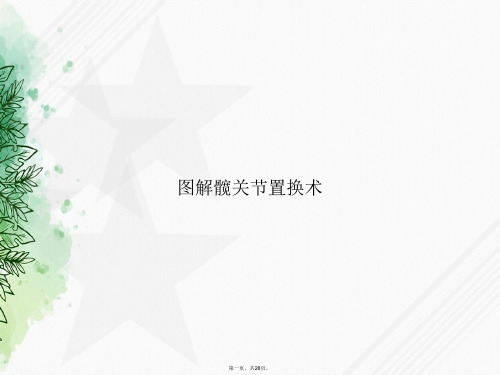 图解髋关节置换术2讲课文档