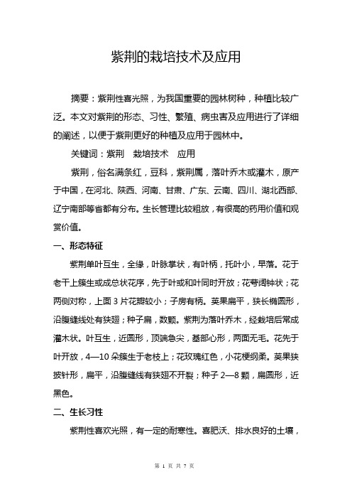 紫荆的栽培技术及应用