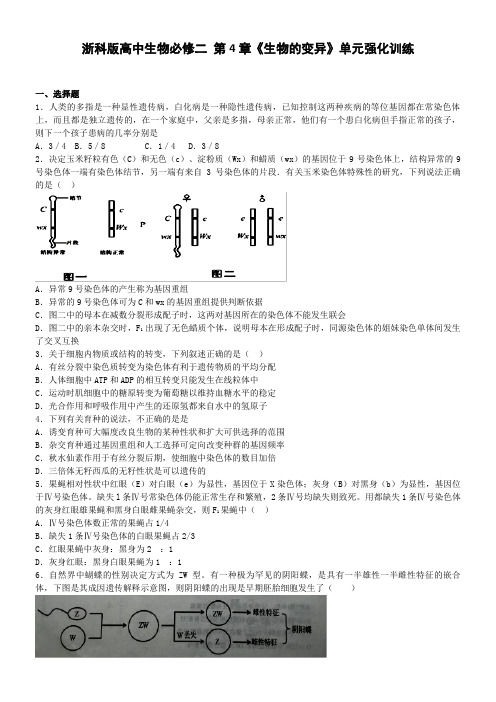 高中生物浙科版遗传与进化第四章生物的变异单元测试