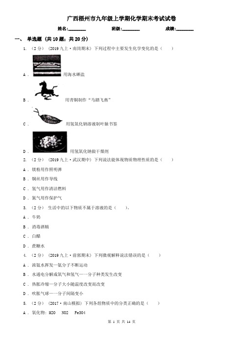 广西梧州市九年级上学期化学期末考试试卷