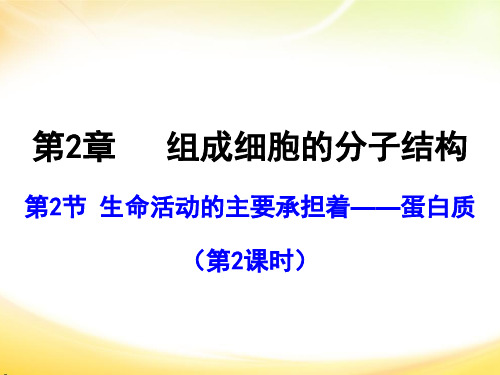 生命活动的主要承担者——蛋白质(第二课时)