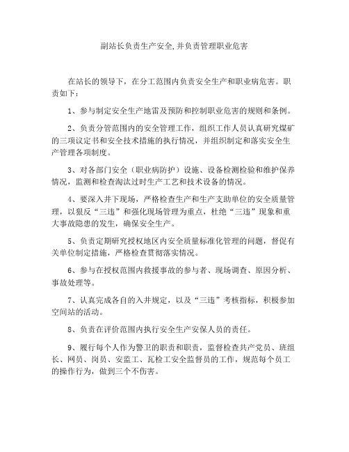 安监站副站长安全生产与职业病危害防治责任制