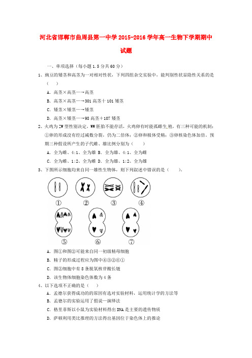 河北省邯郸市曲周县第一中学2015-2016学年高一生物下学期期中试题