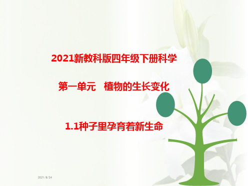 2021年春新教科版科学四年级下册第一单元《植物的生长变化》课件