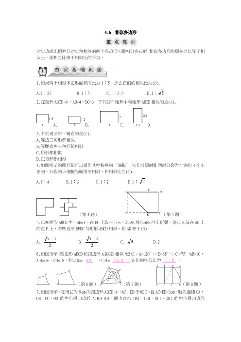 浙教版九年级上《4.6相似多边形》同步导学练(含答案)