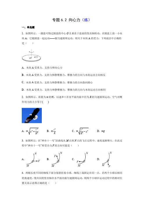 专题6-2 向心力(练)(原卷版)