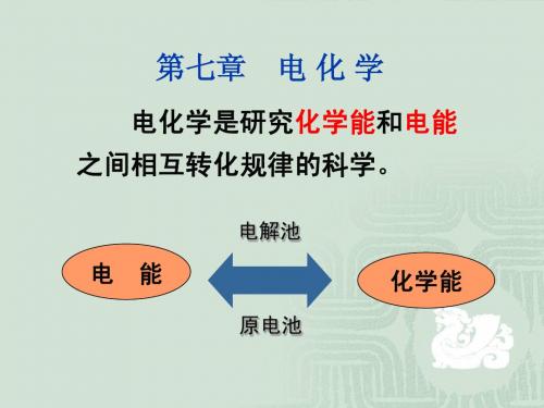 第八章  电化学